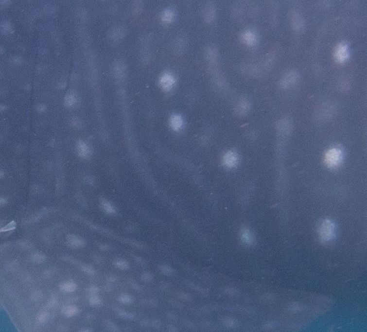 7ebd2f85-3f8d-4a56-9e8b-3882b7fc6764