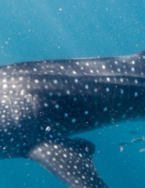 b9b7fd0b-05c9-4bdc-bb7c-362e17576fe6