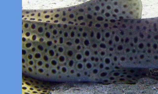 5fcd9f42-6df6-4a4f-81e7-0bcf581ba5aa