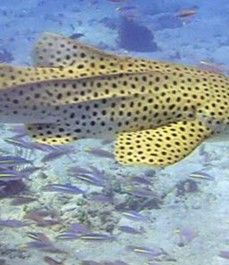 5fcd9f42-6df6-4a4f-81e7-0bcf581ba5aa