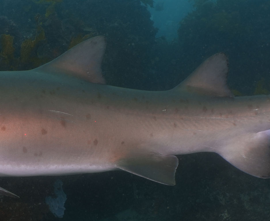 c7c458ed-c474-4c05-b29d-356c51007bb8