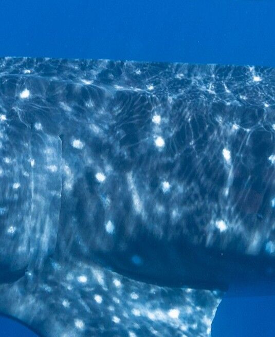 2618e0be-8a52-4f41-9ac8-c9eb71b1aee1