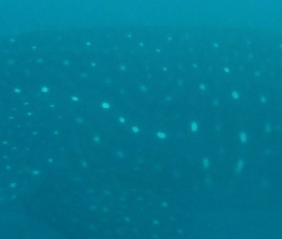 ac1ce693-32fc-4a86-91f2-5c90312a8bed