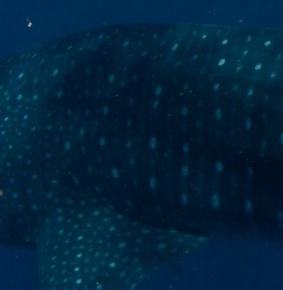 5f475aaa-c687-494b-8a22-b78f4680ea59