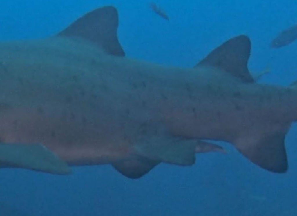 dcac5541-9282-4a36-a643-637e2bdae207