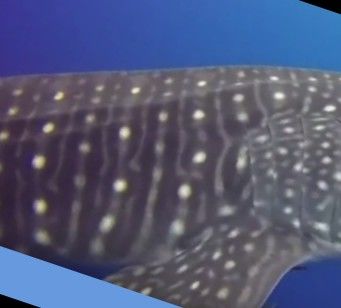 e984f204-ad3d-4904-b5b5-f2f1709ef2e0