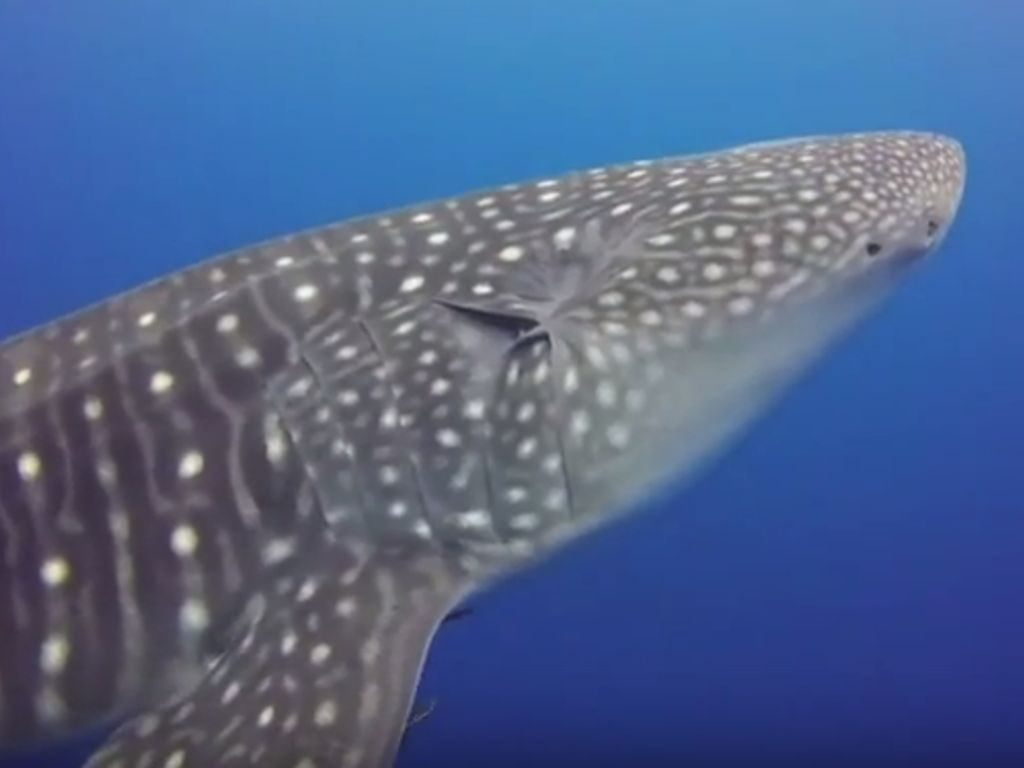 e984f204-ad3d-4904-b5b5-f2f1709ef2e0