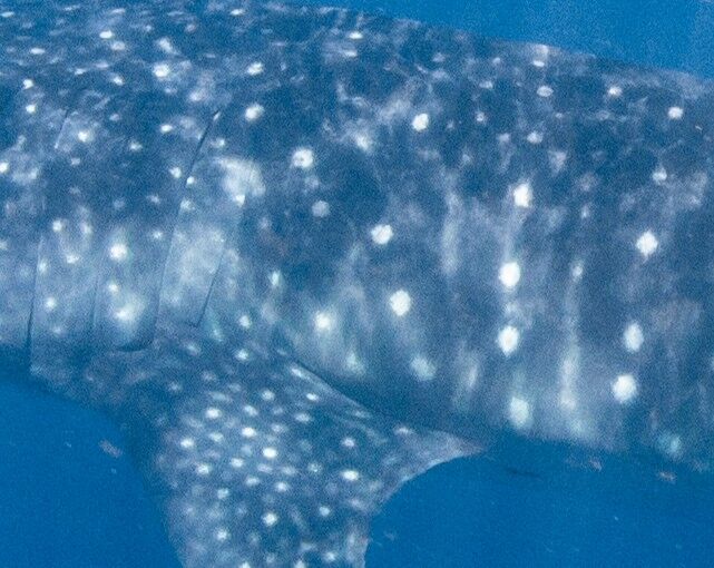 862ef5f0-44be-4dbe-b0c7-8213ca063cae