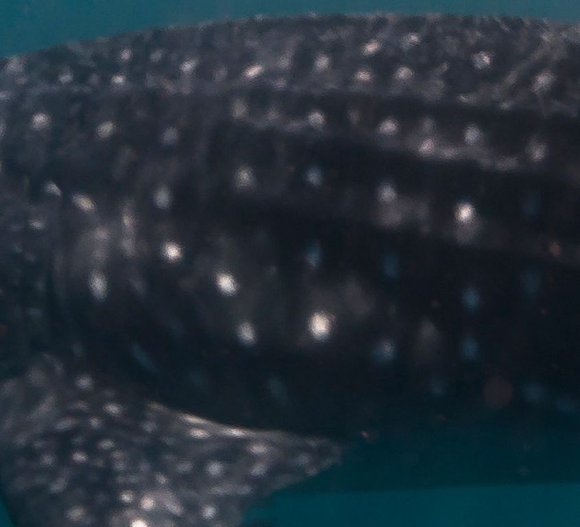 7d7e8895-a28c-4d20-9f96-62370aa578ae