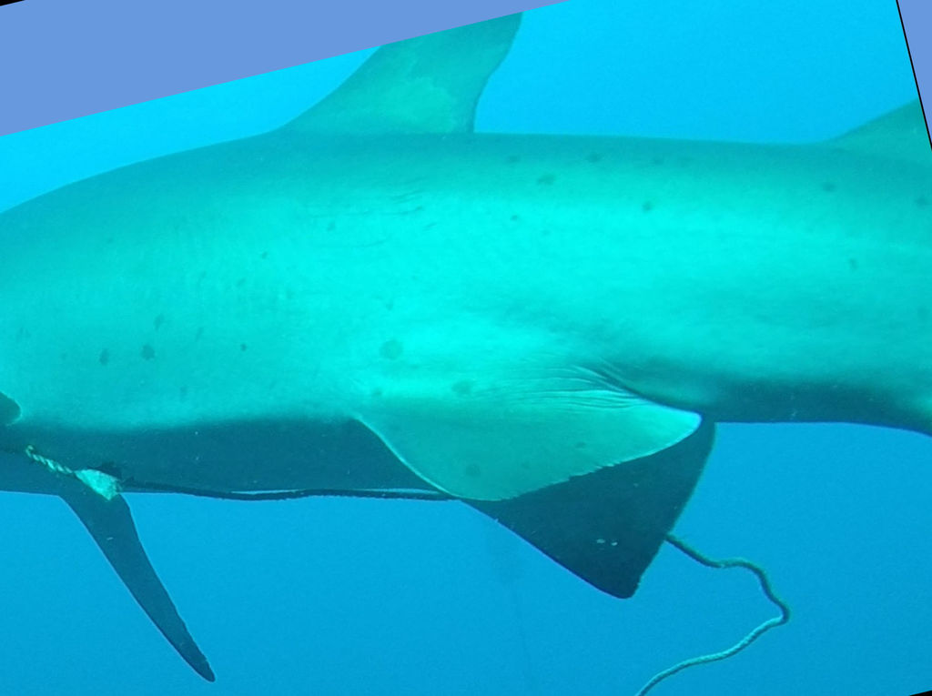 5480b831-6213-4e09-a63c-3443f8ff8329