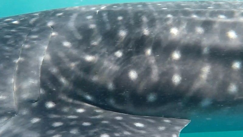 b28ee072-0be1-4874-9dbb-89fd0f28694d