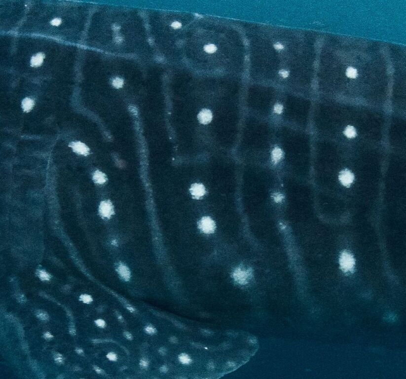 216ecb85-9103-4e1a-8f53-c7c227e5c705