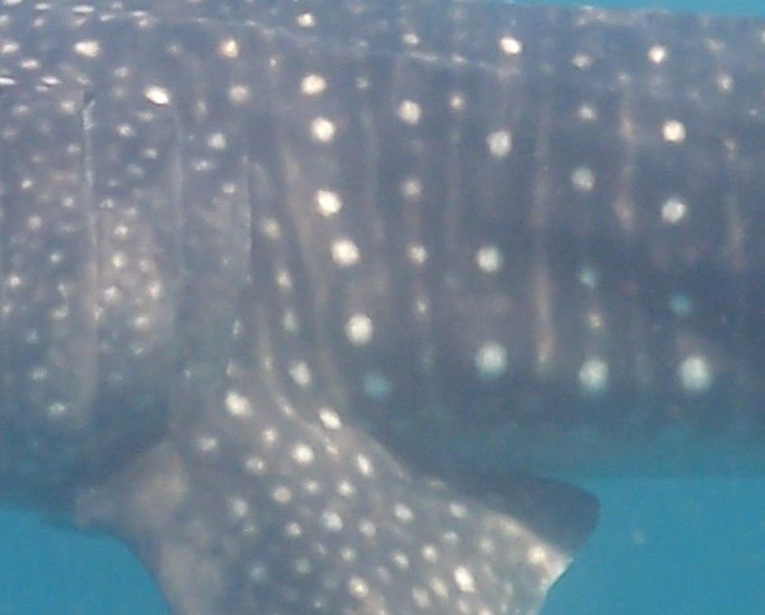 82fe41b9-5178-42c9-ada6-1276fcda2229