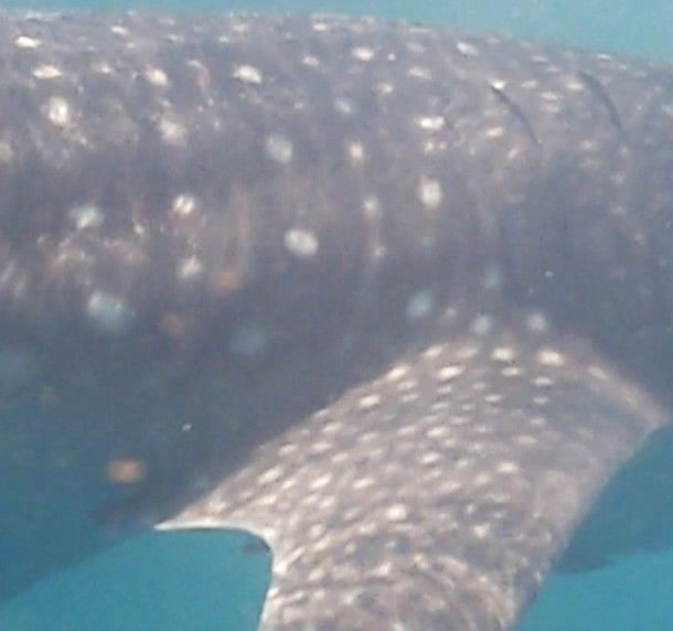 82fe41b9-5178-42c9-ada6-1276fcda2229