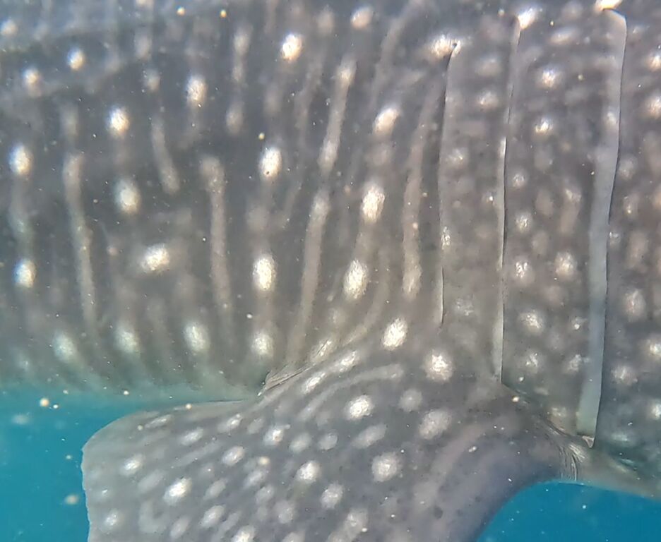 b58b0c4f-9cac-4369-b382-b7d9df0662e9