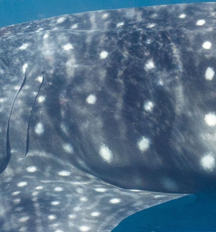 7cc0202f-5981-403e-b6d1-31d5d2f6c6c2