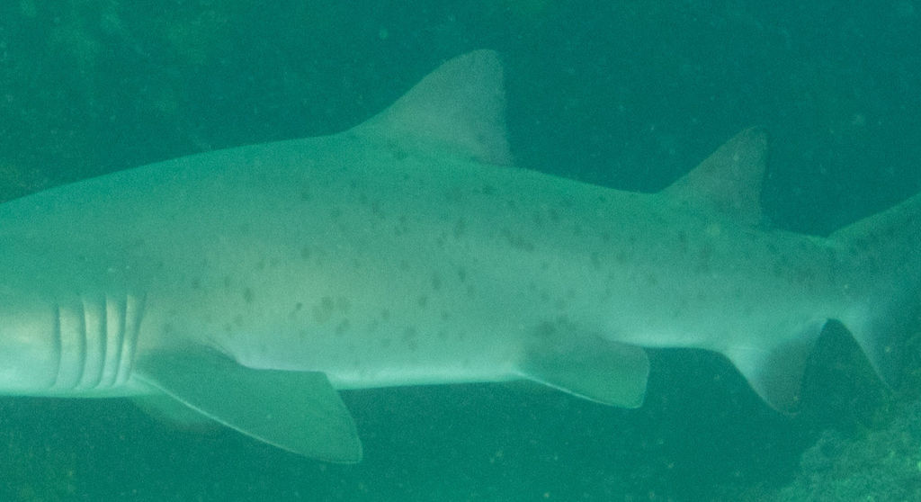 4ed9b274-eb64-4805-b8fe-ad217e52c9c5