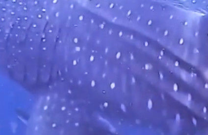 e1b987b8-c104-4093-9dd7-9e27302b236f