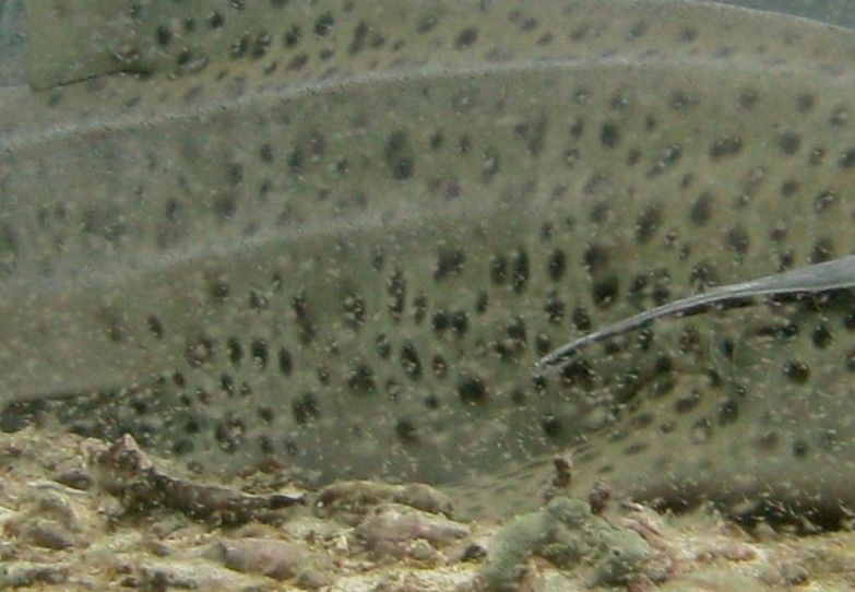 a1a2f5a9-c349-436f-9082-b1a50020c11e