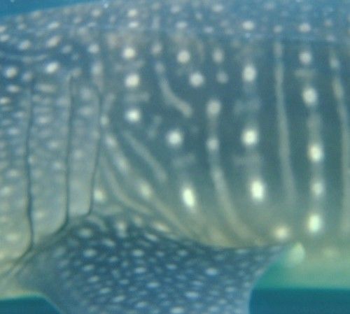 05b65e3c-0c2c-4c34-86a9-2ff156cfb6aa