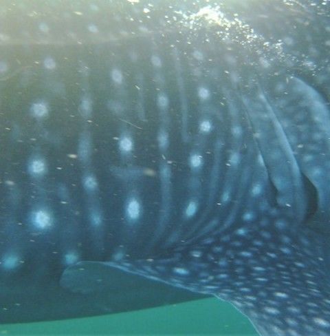 05b65e3c-0c2c-4c34-86a9-2ff156cfb6aa