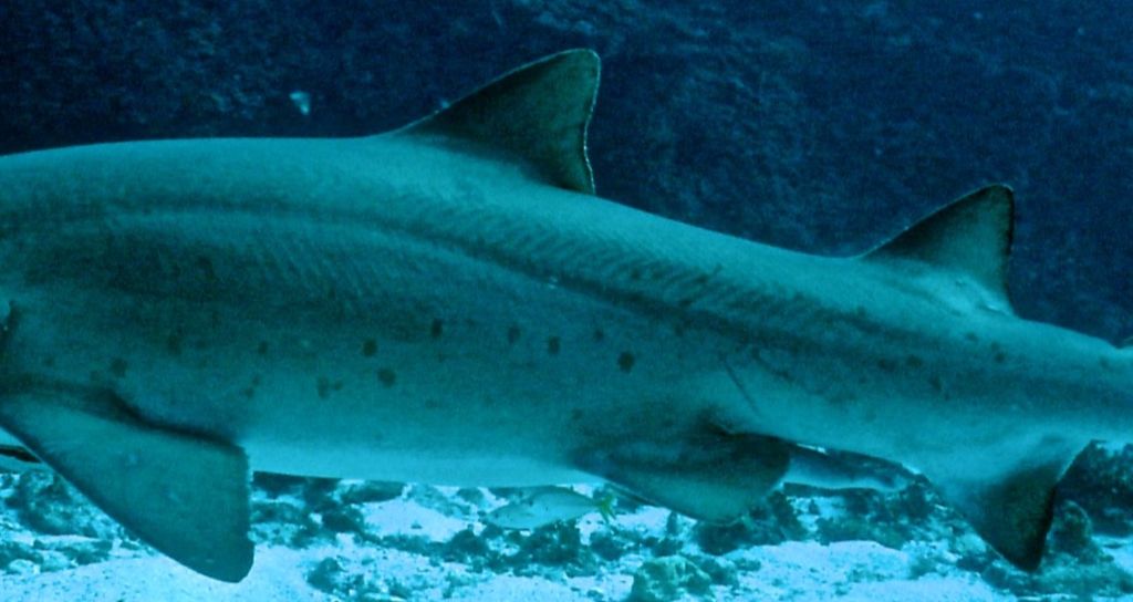 9e47a62d-6040-4413-9b8e-aec38c44ebc9