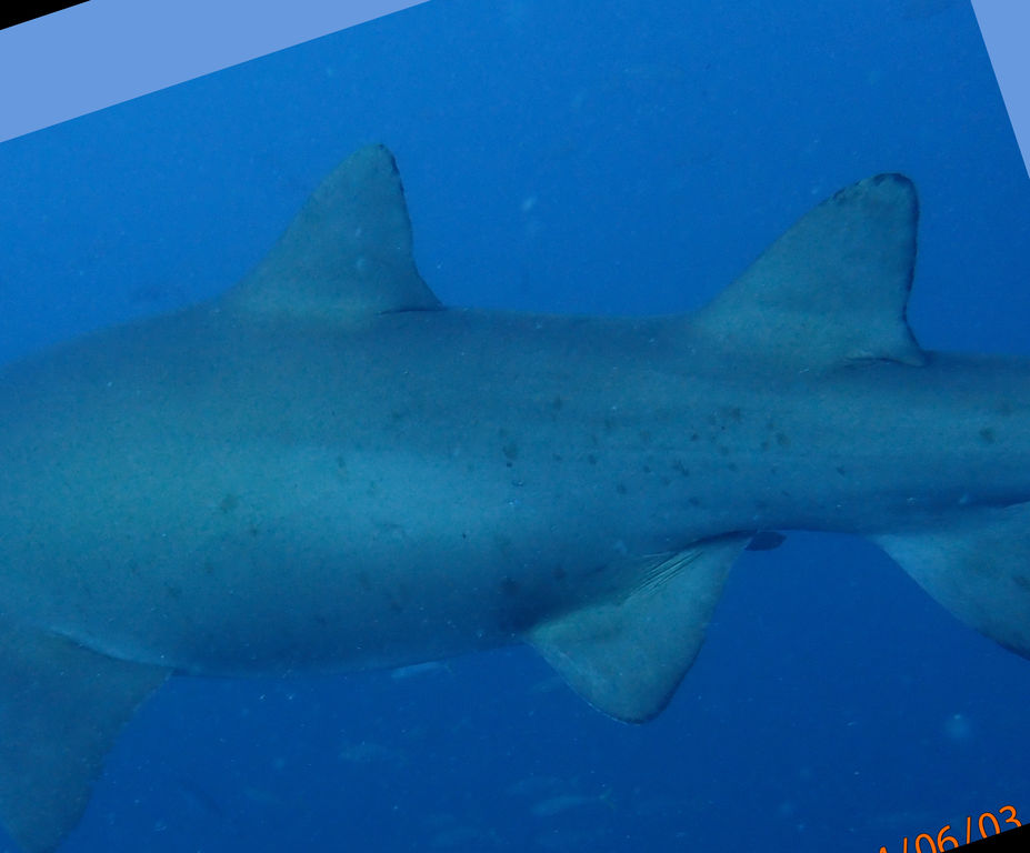 c6072938-0036-4717-aba1-2668eec3ea2d