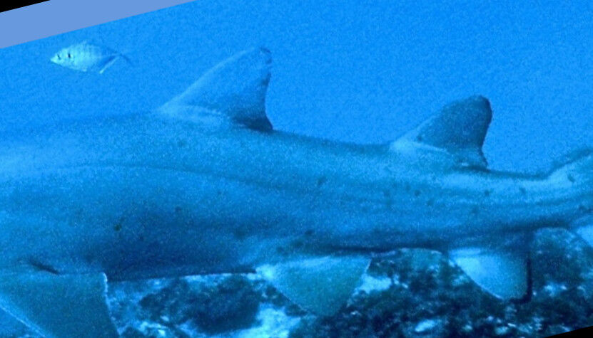 a240f3f8-8cb6-4e9a-9e8d-7213f492e412