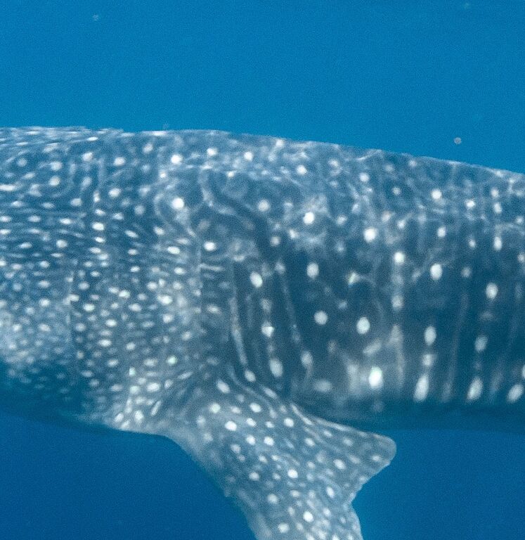 b1458ea6-fcb4-476b-af88-f108d6d93ac5