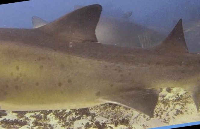 7a528646-f863-4202-8a38-21d394d70ccc