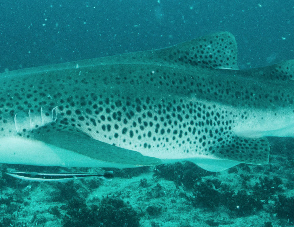 1d4ba718-9366-4672-a48a-337b716a47ca