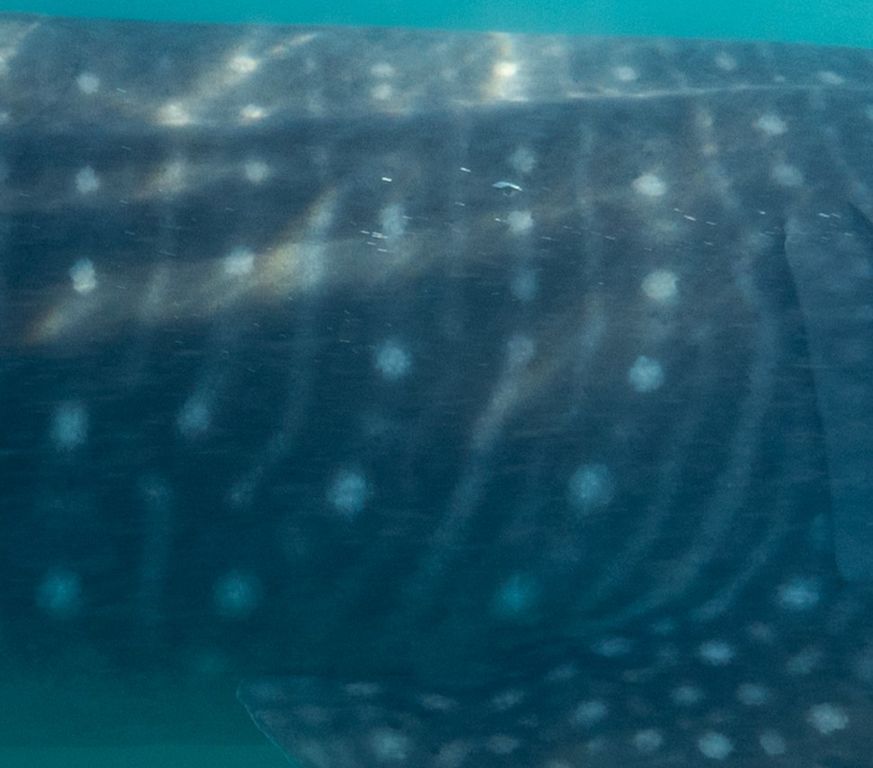 17df9821-a952-4ba5-8fe3-efb4f64f80e8