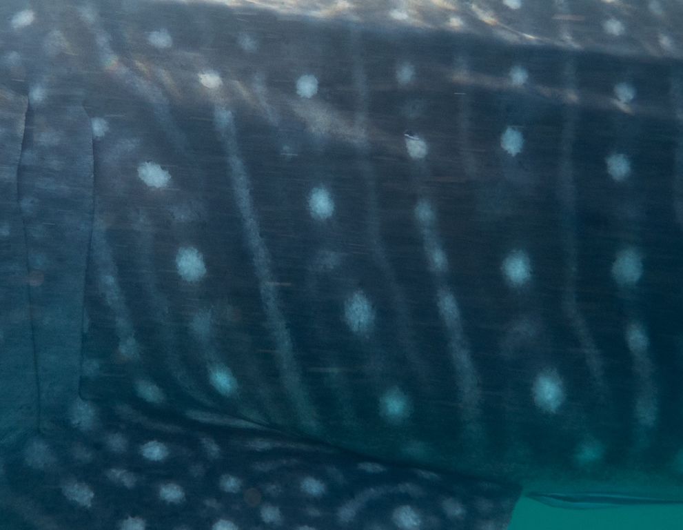 17df9821-a952-4ba5-8fe3-efb4f64f80e8