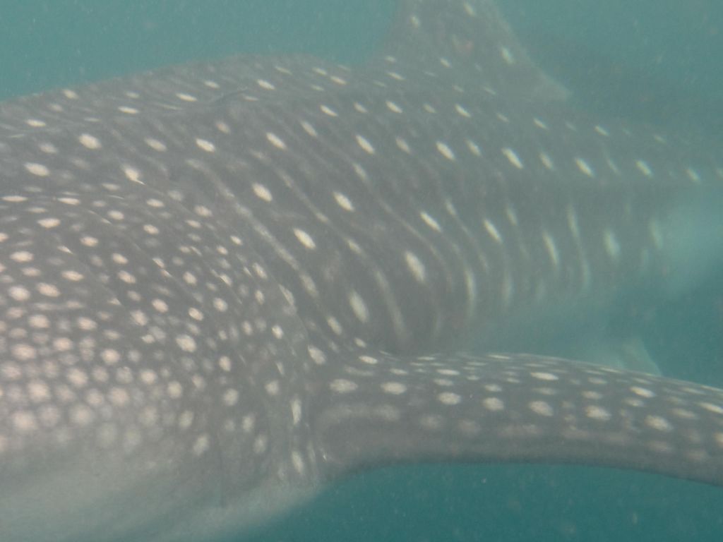 4dfc2508-b4ca-43a9-b37b-78148d6c8bf7