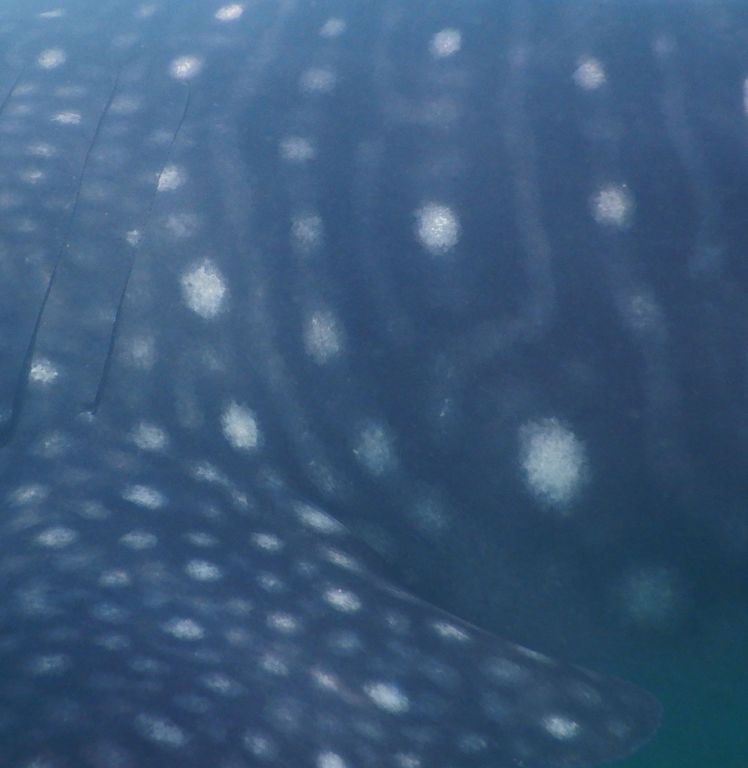 1f3eb58e-1598-474c-a990-9e9ddcd025b6