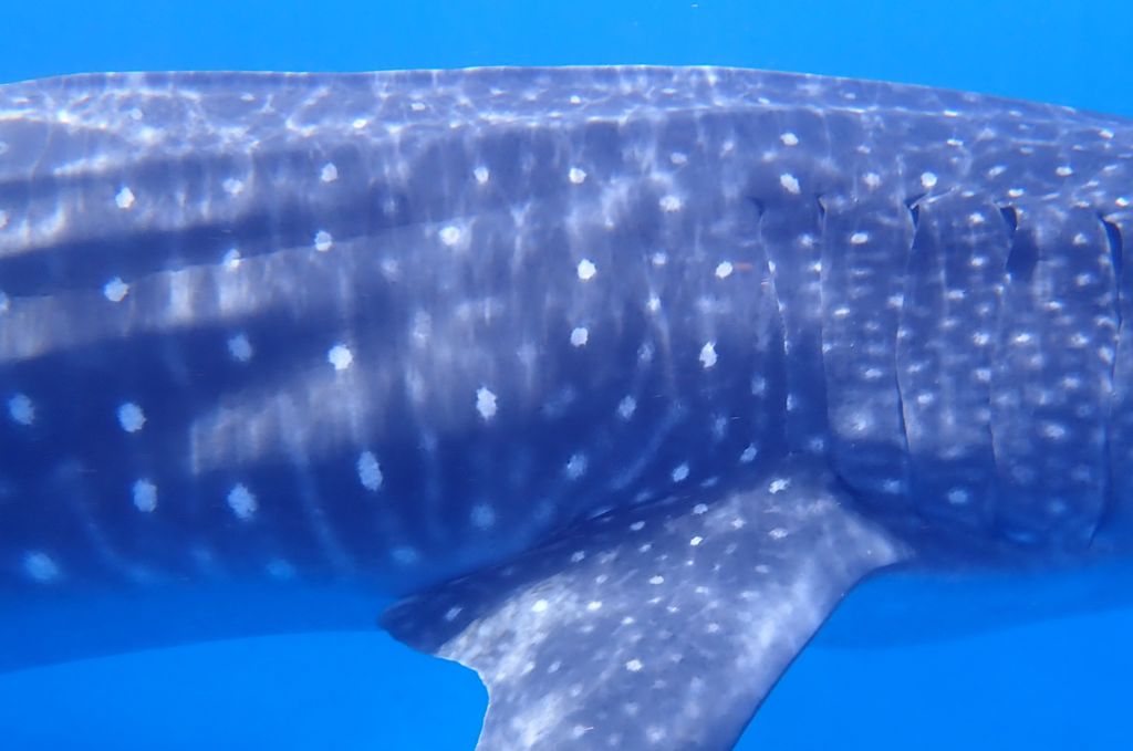 6c2ca839-9d31-4468-b0e5-29b698e767b0