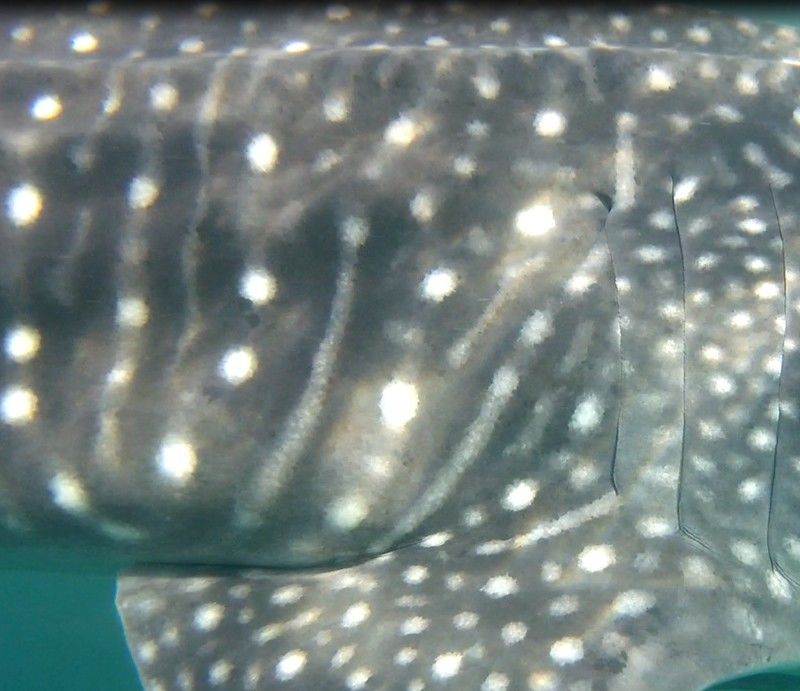 6de99128-dd31-4962-8ef5-13e53034e79f