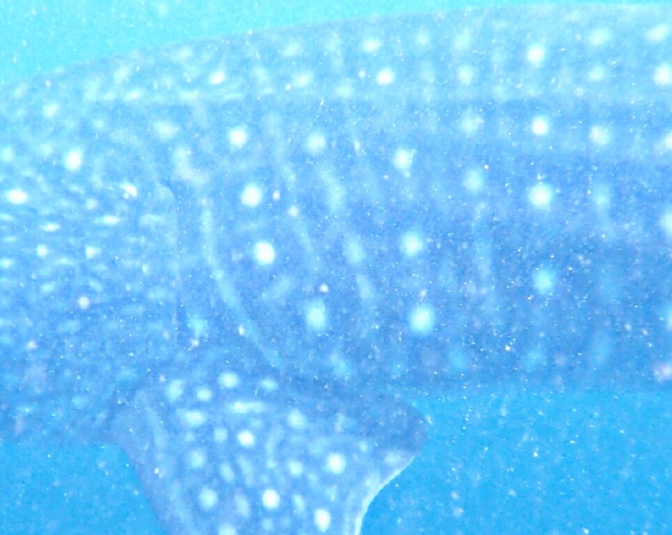 8ef5cfde-e826-4e29-9f49-1e2eb3e455c4