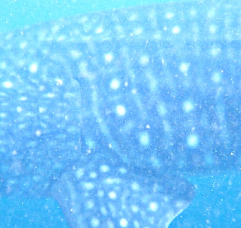 8ef5cfde-e826-4e29-9f49-1e2eb3e455c4