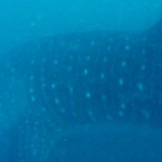 d3318f8f-d299-4107-80d6-317228b9d735