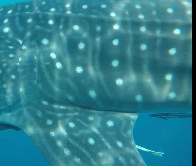 63a432db-1adc-48ed-ae76-c77c35cfd9ec