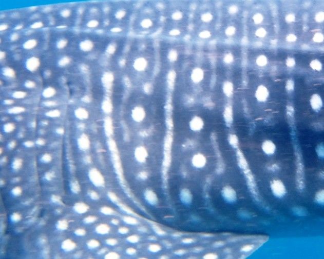 c80eaafa-7d63-4397-812a-b24f5ea5a693