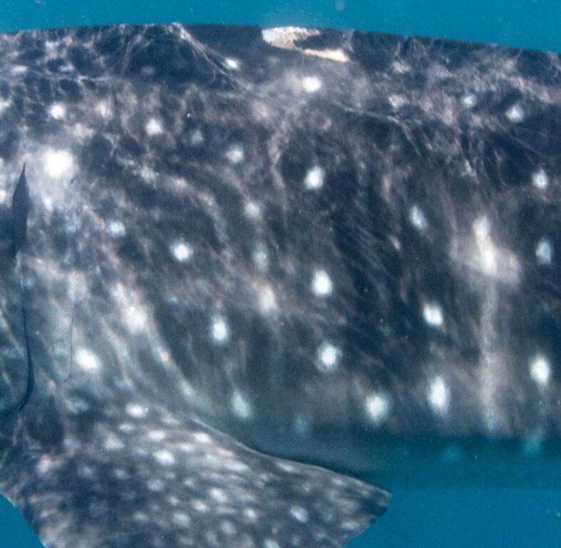 d4065dc6-f4c2-4d32-aaeb-5eecde3896fe