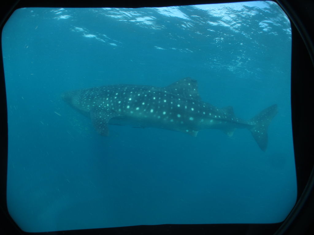 94d8345e-84f7-4dbc-80d5-7d1334ac1a8d