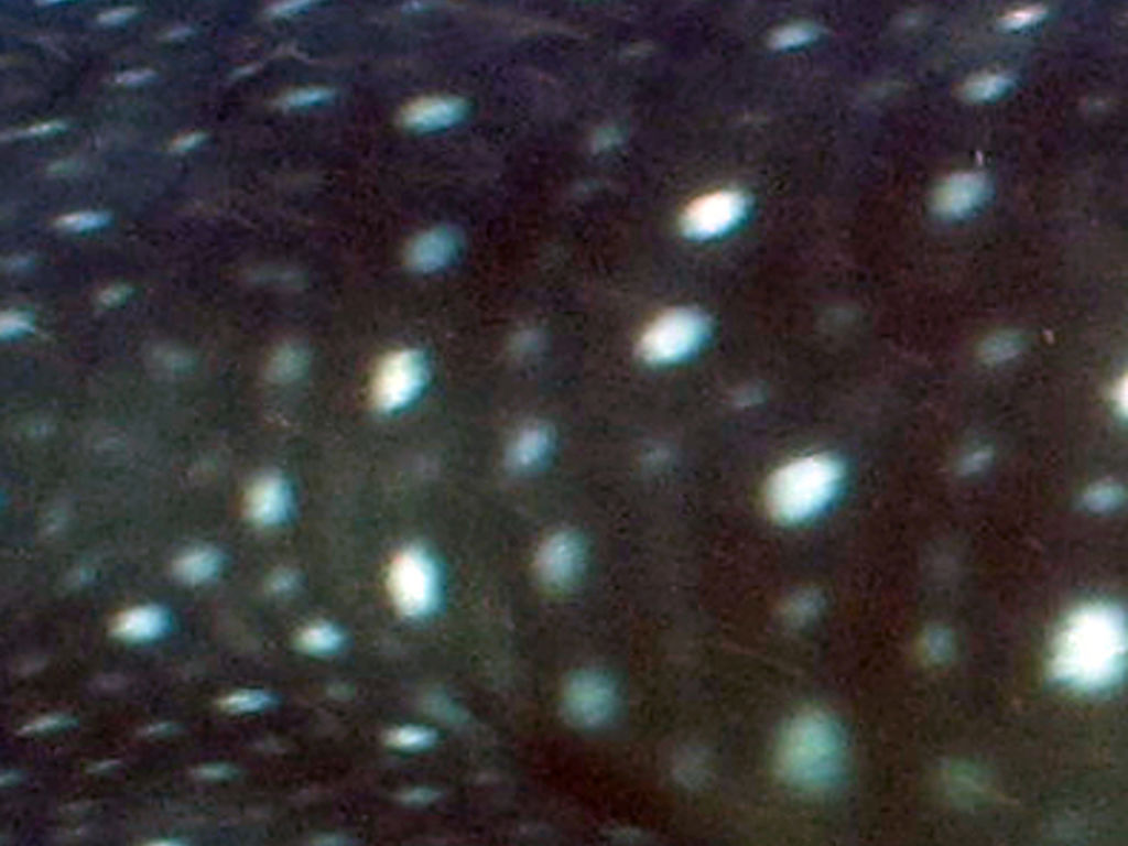 94d8345e-84f7-4dbc-80d5-7d1334ac1a8d