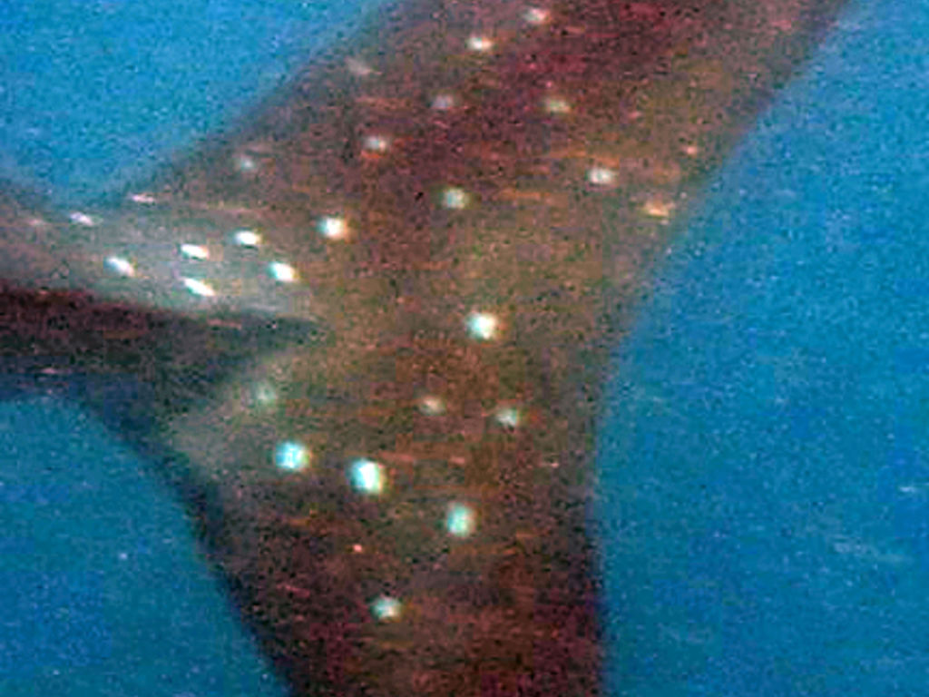 94d8345e-84f7-4dbc-80d5-7d1334ac1a8d