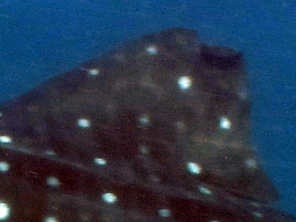 94d8345e-84f7-4dbc-80d5-7d1334ac1a8d