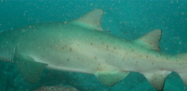 818e2344-08ad-4002-b0d0-5a91474498d5