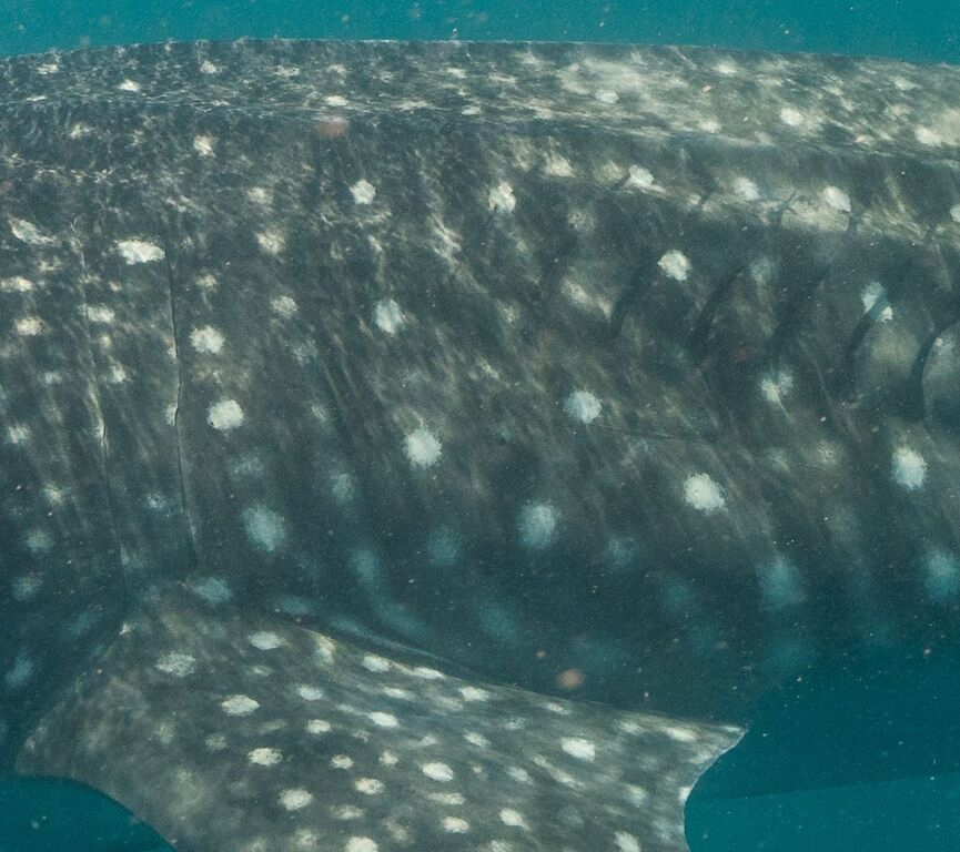 e5d645ab-25d3-410e-9cb5-11a030ada943