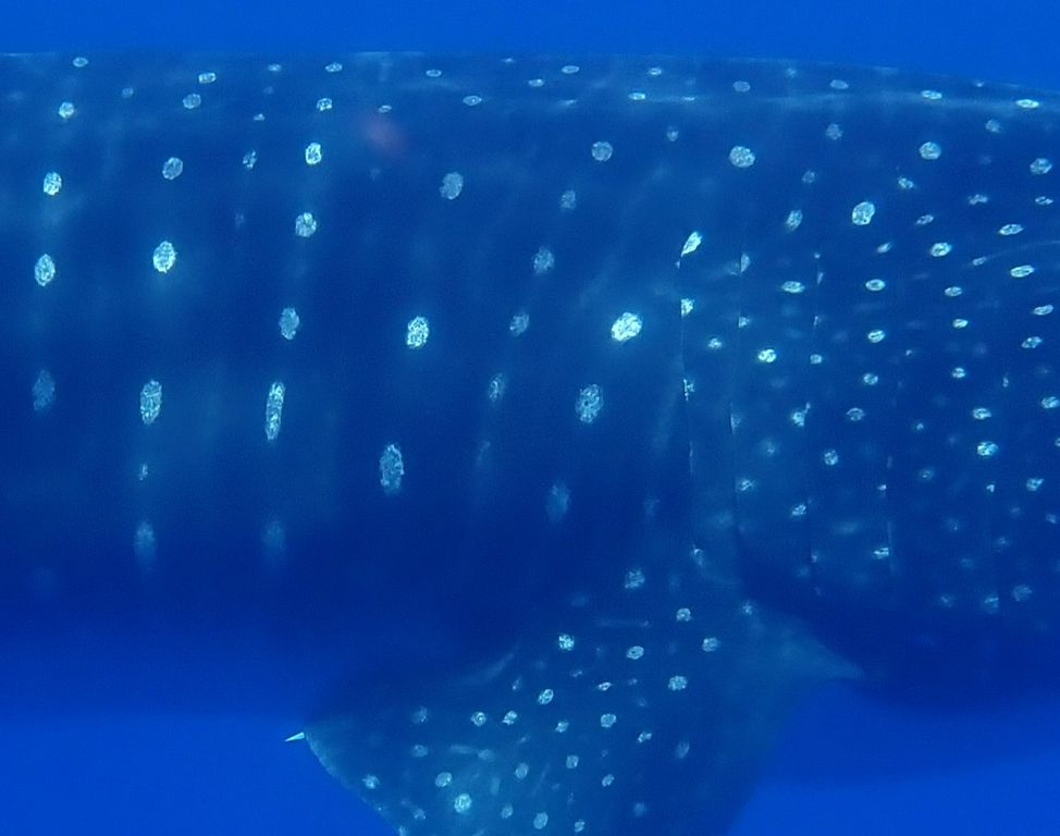 84a43abb-baee-4482-9421-bbc2e0f7c1f4